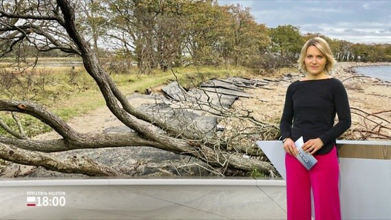 Marie-Luise Brahm moderiert das Schleswig-Holstein Magazin 18.00. © Screenshot 