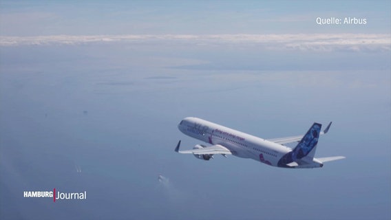 Ein fliegendes Flugzeug von Airbus. (Quelle: Airbus) © Screenshot 