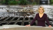 Marie-Luise Bram moderiert das Schleswig-Holstein Magazin um 18:00 Uhr. © Screenshot 
