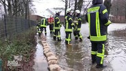 Feuerwehrleute bilden eine Kette um Sandsäcke zu transportieren. © Screenshot 