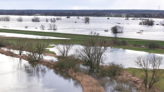 Überflutete Wiesen an der Elbe. © Screenshot 