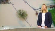 Alexandra Bauer moderiert. © Screenshot 