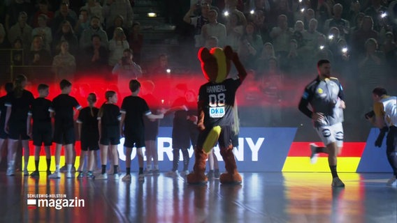 Das Handballteam von Deutschland auf dem Feld. © Screenshot 