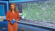 Ilka Petersen moderiert NDR Info um 17.00. © Screenshot 