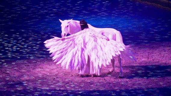 Weißes Pferd neben einer Frau mit einem Federkleid. © Screenshot 