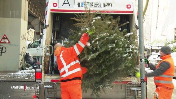 Mitarbeitende der Stadtreinigung entsorgen ausgemusterte Weihnachtsbäume. © Screenshot 