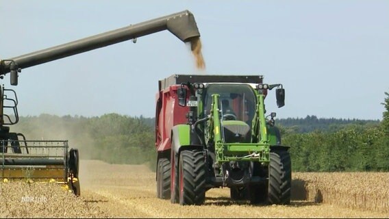 Ein Trecker auf dem Feld bei der Getreideernte. © Screenshot 