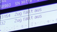 Anzeige Tafel "Zug fällt aus" auf dem Schweriner Hauptbahnhof. © Screenshot 