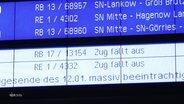 Eine Hinweistafel der Bahn mit Verweisen auf ausfallende Züge. © Screenshot 