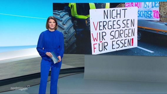 Frauke Rauner moderiert das Nordmagazin am 10.01.2024. © Screenshot 
