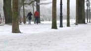 Zwei Leute laufen durch einen vereisten Park. © Screenshot 