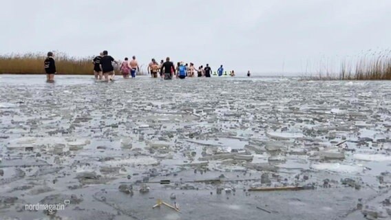 Mutige Menschen beim Anbaden im eisigen Barther bodden. © Screenshot 