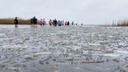 Mutige Menschen beim Anbaden im eisigen Barther bodden. © Screenshot 