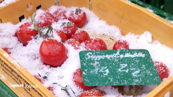 Tomaten in einer Kiste sind mit Schneeflocken bedeckt. © Screenshot 