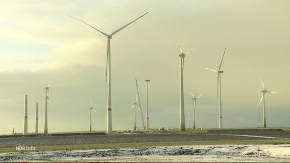 Ein Windenergiepark. © Screenshot 
