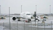 Ein Flugzeug steht auf einem schneebedeckten Rollfeld. © Screenshot 