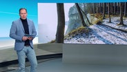 Thilo tautz moderiert. © Screenshot 