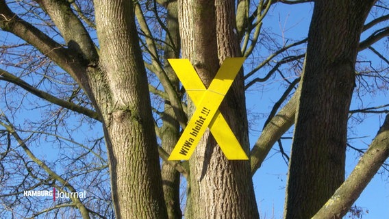 Ein gelb gestrichenes Kreuz aus Holz mit der Aufschrift "WiWa bleibt!" hängt an einem Baum in einem Waldstück in Wilhelmsburg. © Screenshot 