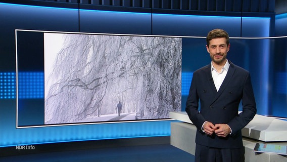 Daniel Anibal Bröckerhoff moderiert. © Screenshot 