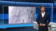 Daniel Anibal Bröckerhoff moderiert. © Screenshot 