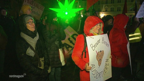 Bei einer Demonstration gegen die AfD und Rechtsextremismus in Stralsund: Demonstrantinnen und Demonstranten mit Plakaten, eine Frau im Vordegrund trägt ein Plakat mit der Aufschrift: "Braune Birnen aussortieren". © Screenshot 