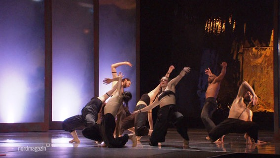 Szene aus der Premiere "Wildes Leben" der neuen Tanzcompagnie aus Rostock. © Screenshot 