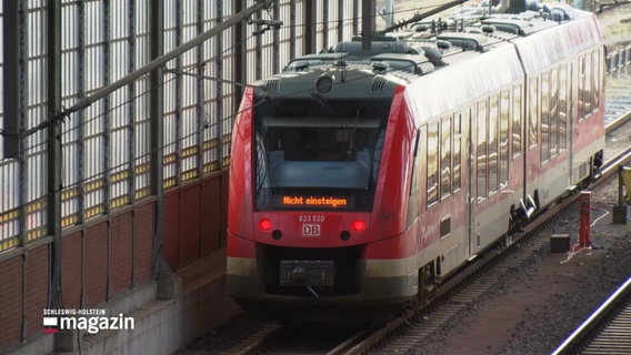 Ein Zug fährt in einen Bahnhof ein. © Screenshot 