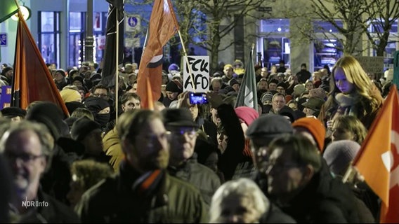 Tausende protestieren in Schwerin gegen Rechtsextremismus. © Screenshot 