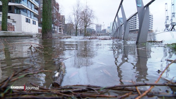 Nahaufnahme überschwemmte Anlagen in der Hafencity. © Screenshot 