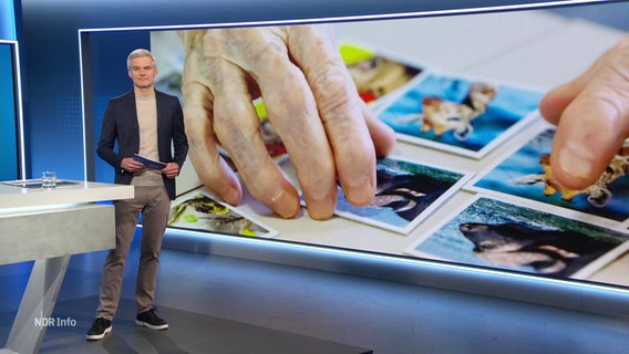 Thorsten Schröder © Screenshot 