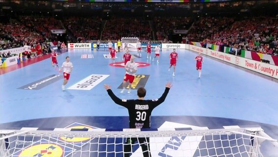 Szene eines Handballspiels: Die Kamera befindet sich über dem Tor, ein Torwart von hinten zu sehen, weitere Spieler auf dem Feld bereiten einen Angriff vor. © Screenshot 