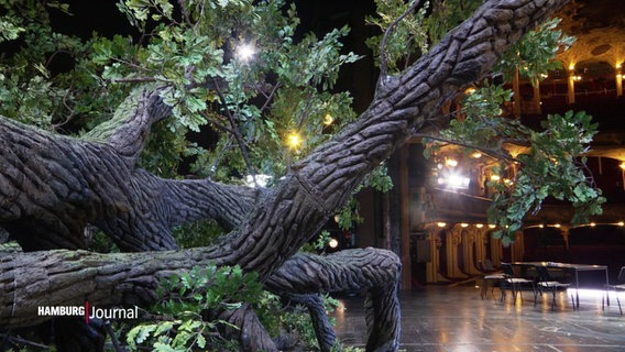 Blick von der Bühne in den Zuschauerraum des vom Schauspielhaus: Im Vordergrund ein riesiger, nachgebildeter umgestürzter Baum. © Screenshot 