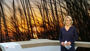 Marie-Luise Brahm moderiert das Schleswig-Holstein Magazin 18.00. © Screenshot 