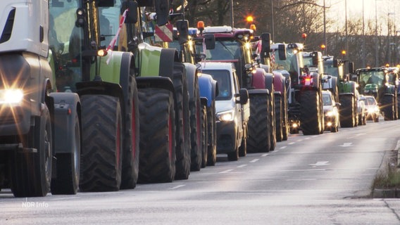 Eine lange Reihe von Traktoren auf der Straße, vereinzelt dazwischen ein paar Pkw. © Screenshot 