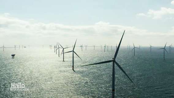 Ein Offshore Windpark. © Screenshot 