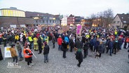 Menschen demonstrieren  gegen Rechtsextremismus und die AfD in Delmenhorst. © Screenshot 