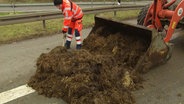 Ein Mann in orangefarbener Arbeitsuniform schüppt auf einer Fahrbahn Mist auf eine Baggerschaufel. © Screenshot 