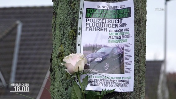 Plakat mit einem Aufruf zur Suche nach Zeugen bei einem Vekehrsunfall, bei dem ein Opfer verstarb. © Screenshot 