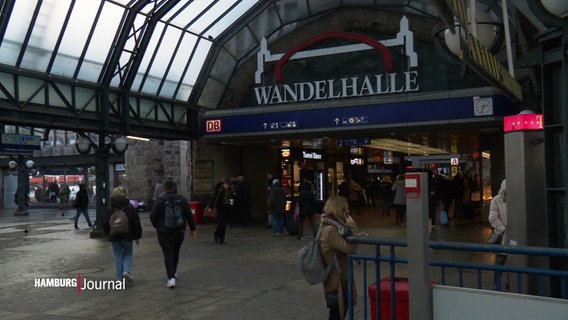 Der Eingang der Wandelhalle am Hamburger Hauptbahnhof © Screenshot 