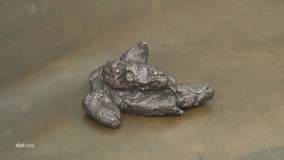 In Bronze gegossener Hundekot. © Screenshot 