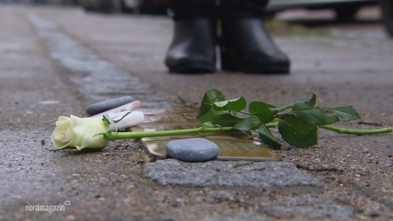 Auf einem Stolperstein liegen ein Kiesel und eine weiße Rose. © Screenshot 