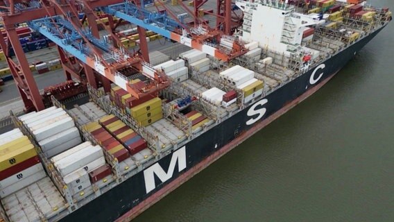 Ein Frachter mit dem Schriftzug "MSC". © Screenshot 