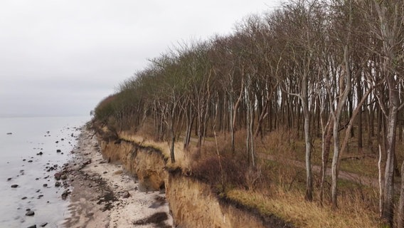 Die Steilküste auf der Insel Poel. © Screenshot 