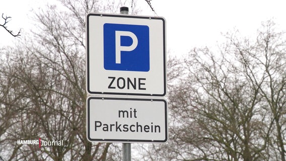 Schilder, die auf eine besondere Parkzone hinweisen. © Screenshot 