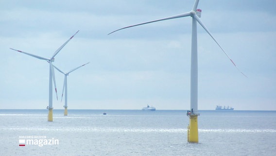 Windräder auf offener See. © Screenshot 