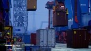 Container werden am Hamburger Hafen verladen. © Screenshot 