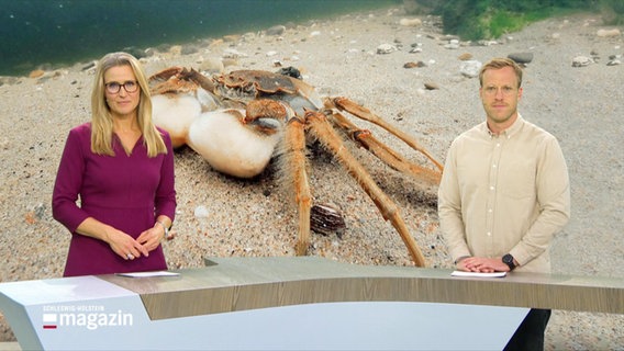 Gabi Lüeße und Henrik Hanses. © Screenshot 