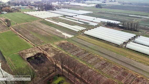 Drohnenaufnahme von einem landwirtschaftlichen Gebiet. In der ferne sind weiße Reihen von Gemüsetunneln zu sehen. © Screenshot 