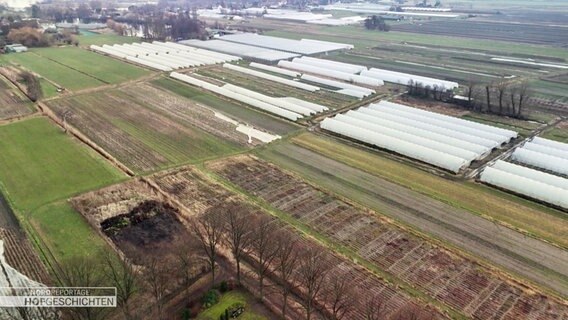 Drohnenaufnahme von einem landwirtschaftlichen Gebiet. In der ferne sind weiße Reihen von Gemüsetunneln zu sehen. © Screenshot 