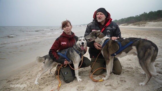 Zwei Personen mit zwei Huskys am Strand. © Screenshot 